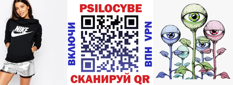Купить  Лениногорск  Псилоцибиновые грибы Psilocybine cubensis 